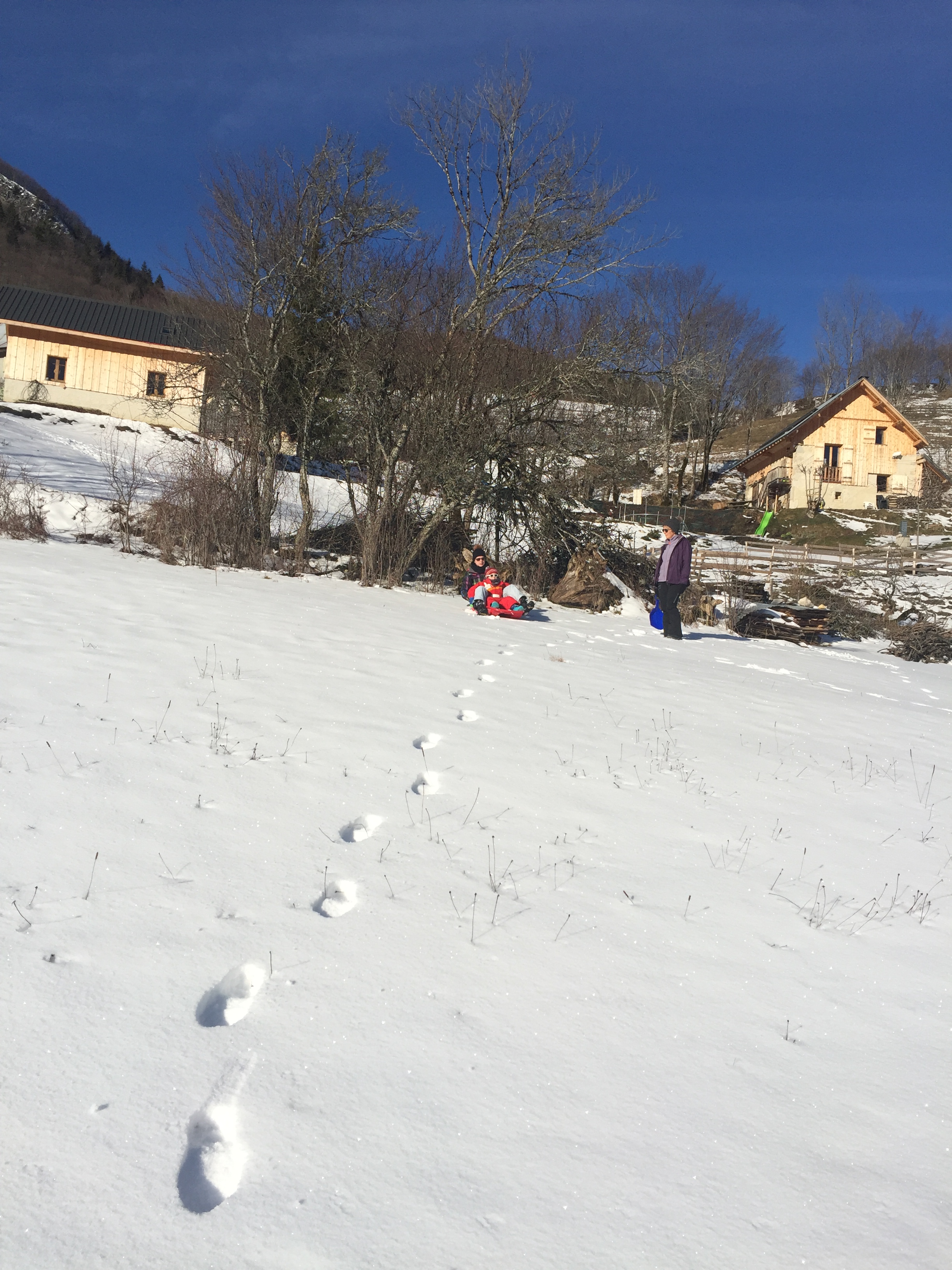 BD9B0AED-9AAB-4AE8-9564-E7AF31510C28